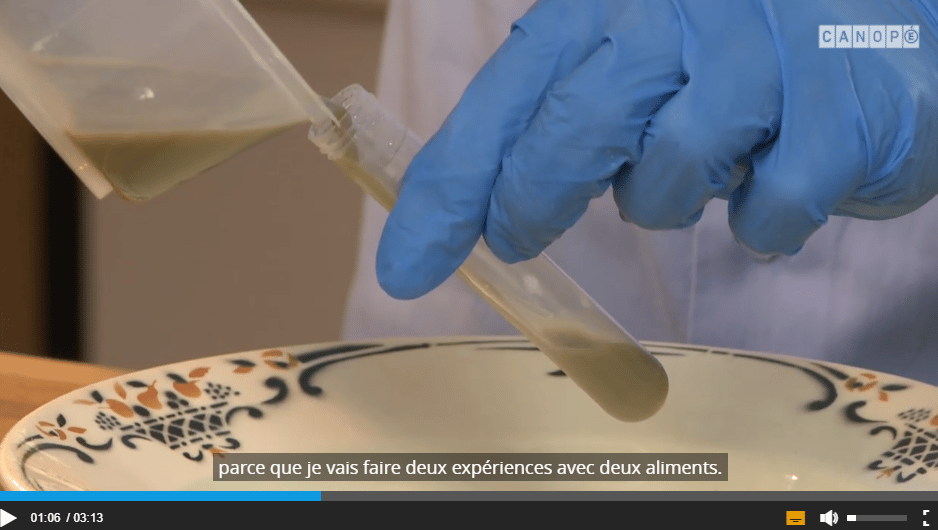 Est-ce que les aliments passent par le foie ?