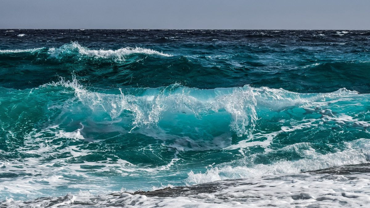 Est-il bon de boire de l’eau pendant le repas ?